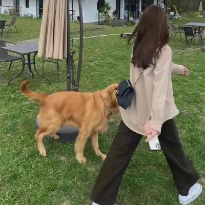 射雕英雄传：侠之大者