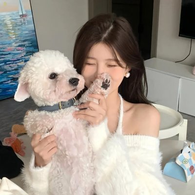 船来船往